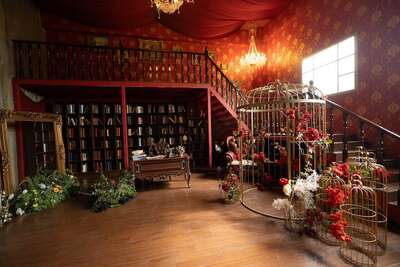 hz/JD/萧山-一堆猫/1