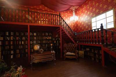 hz/JD/萧山-一堆猫/1