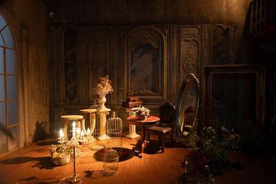 hz/JD/萧山-一堆猫/1