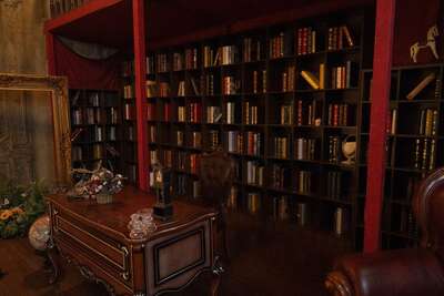 hz/JD/萧山-一堆猫/1