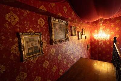 hz/JD/萧山-一堆猫/1