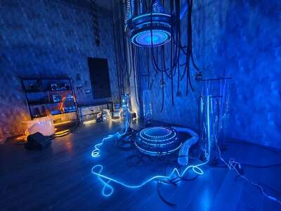 hz/JD/萧山-一堆猫/1