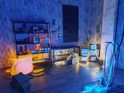 hz/JD/萧山-一堆猫/1