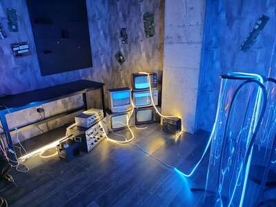 hz/JD/萧山-一堆猫/1