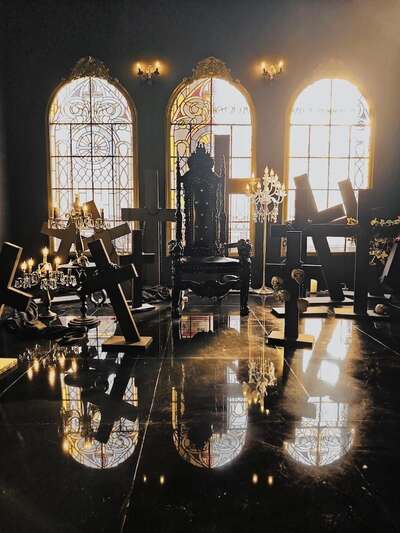 hz/JD/萧山-一堆猫/1