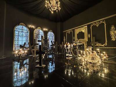 hz/JD/萧山-一堆猫/1