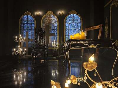 hz/JD/萧山-一堆猫/1