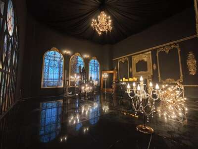 hz/JD/萧山-一堆猫/1