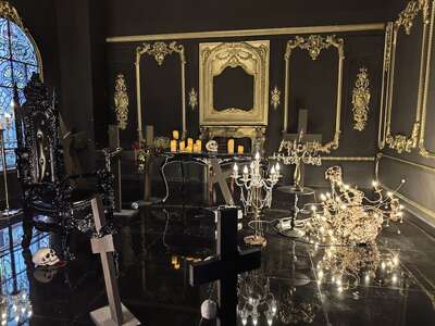 hz/JD/萧山-一堆猫/1