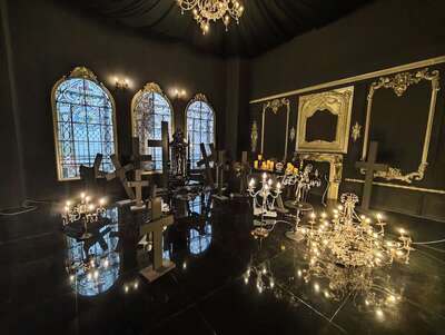 hz/JD/萧山-一堆猫/1