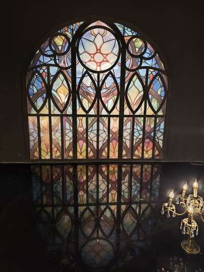 hz/JD/萧山-一堆猫/1