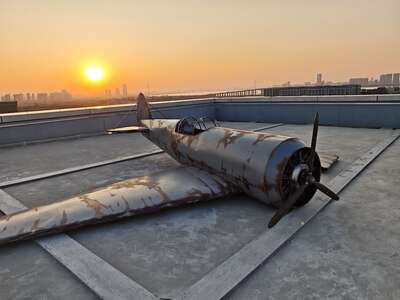 hz/JD/萧山-一堆猫/1