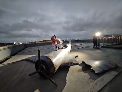 hz/JD/萧山-一堆猫/1