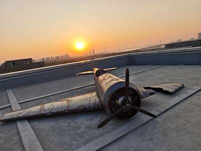 hz/JD/萧山-一堆猫/1