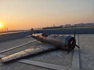 hz/JD/萧山-一堆猫/1