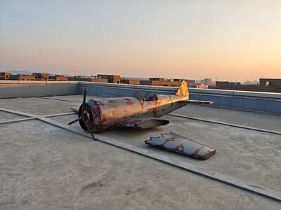 hz/JD/萧山-一堆猫/1