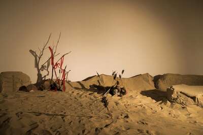 hz/JD/萧山-吉光1