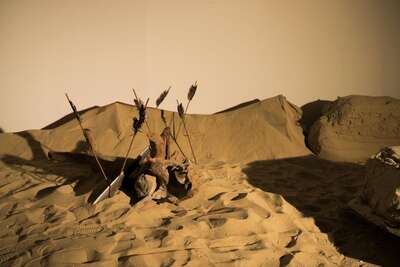 hz/JD/萧山-吉光1