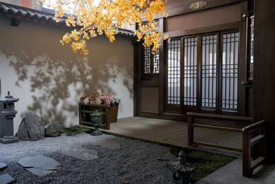 hz/JD/萧山-吉光1