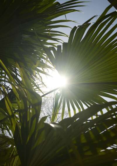 hz/JD/萧山-方盒子1