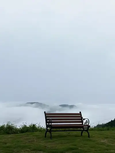 hz/JD/萧山-暇也1