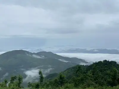 hz/JD/萧山-暇也1