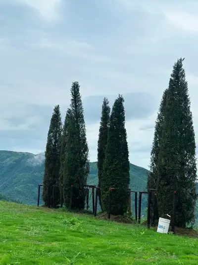 hz/JD/萧山-暇也1