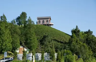 hz/JD/萧山-暇也1