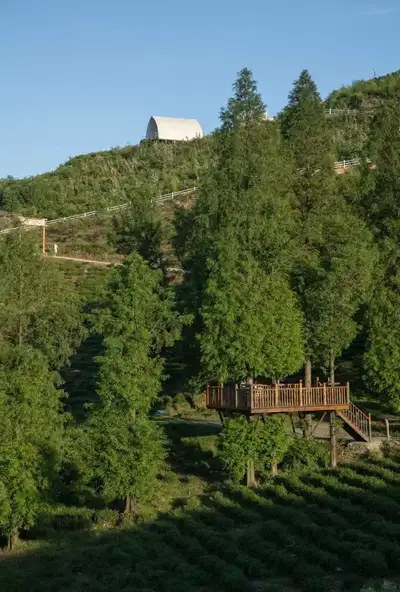 hz/JD/萧山-暇也1