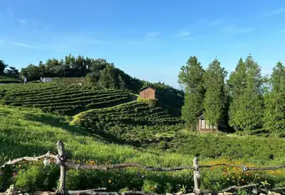 hz/JD/萧山-暇也1