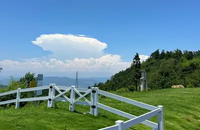 hz/JD/萧山-暇也1