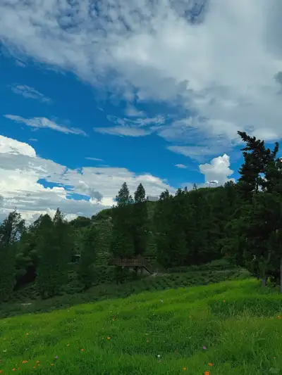 hz/JD/萧山-暇也1