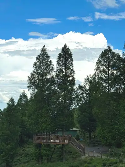 hz/JD/萧山-暇也1