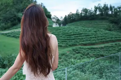 hz/JD/萧山-暇也1