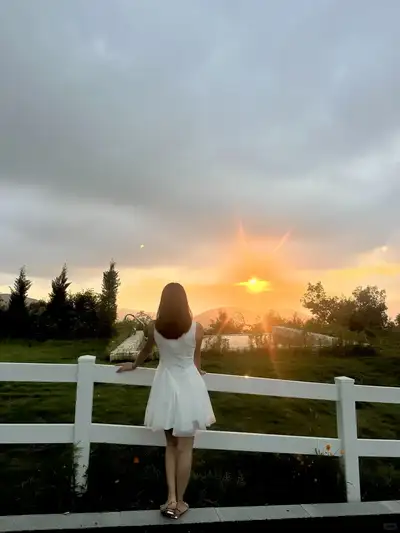 hz/JD/萧山-暇也1