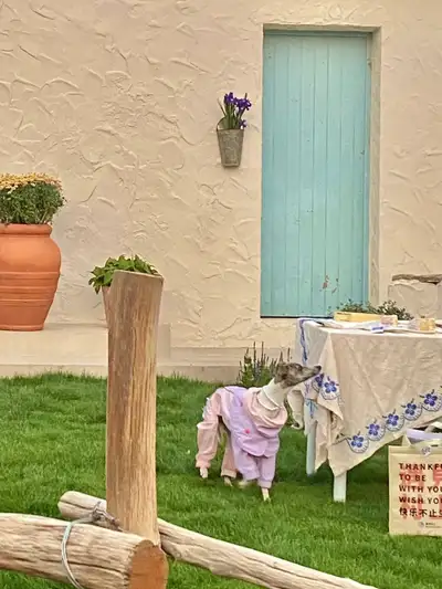 hz/JD/萧山-海边的房子1