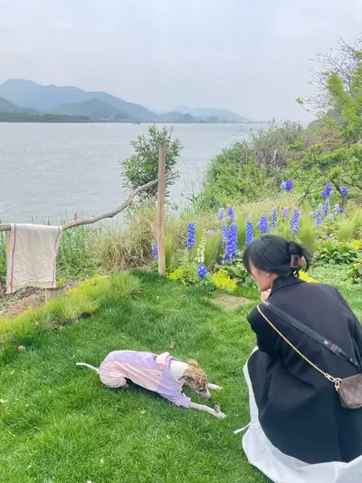 hz/JD/萧山-海边的房子1