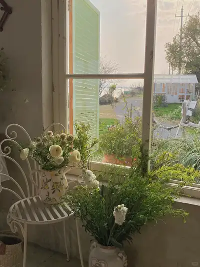 hz/JD/萧山-海边的房子1