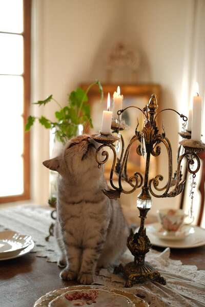 hz/JD/萧山-西屿1