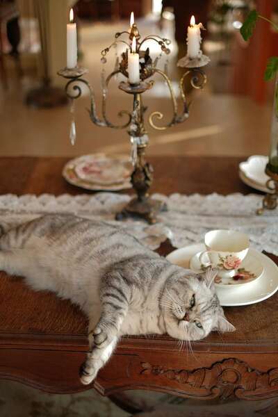 hz/JD/萧山-西屿1