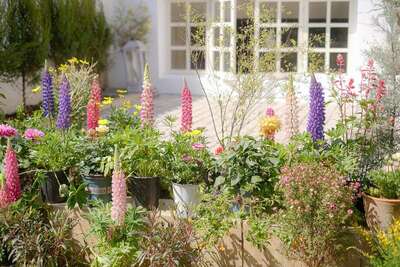 hz/JD/萧山-西淮1