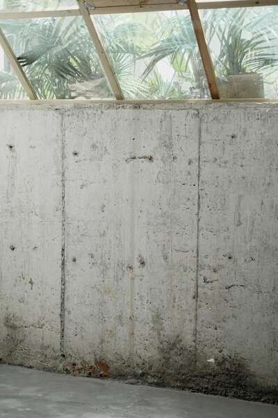 hz/JD/萧山-西瓜1