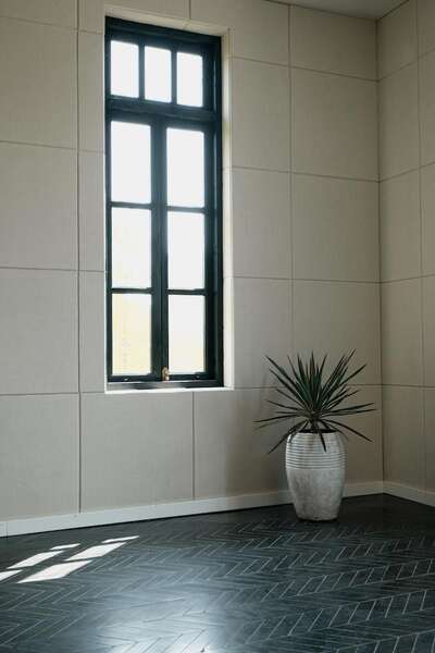 hz/JD/萧山-西瓜1