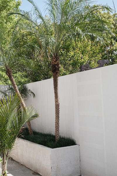 hz/JD/萧山-西瓜1