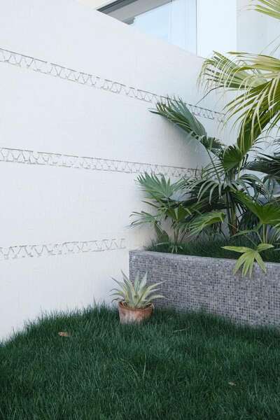 hz/JD/萧山-西瓜1