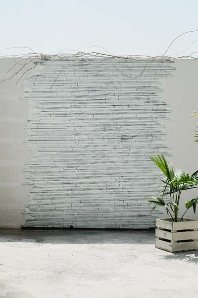 hz/JD/萧山-西瓜1