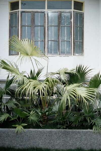 hz/JD/萧山-西瓜1