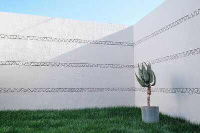 hz/JD/萧山-西瓜1