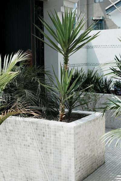 hz/JD/萧山-西瓜1