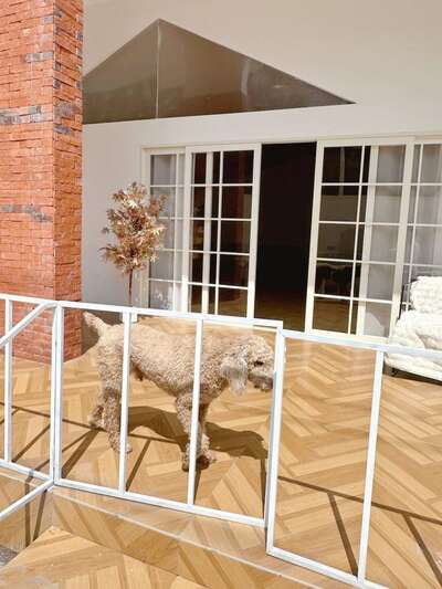 hz/JD/萧山-风格化1